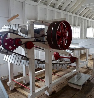 Maschinen- und Anlagenführer (w/m/d)